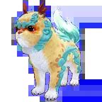 bdo haetae pet.